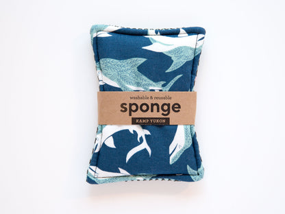 Sponge - Sharks