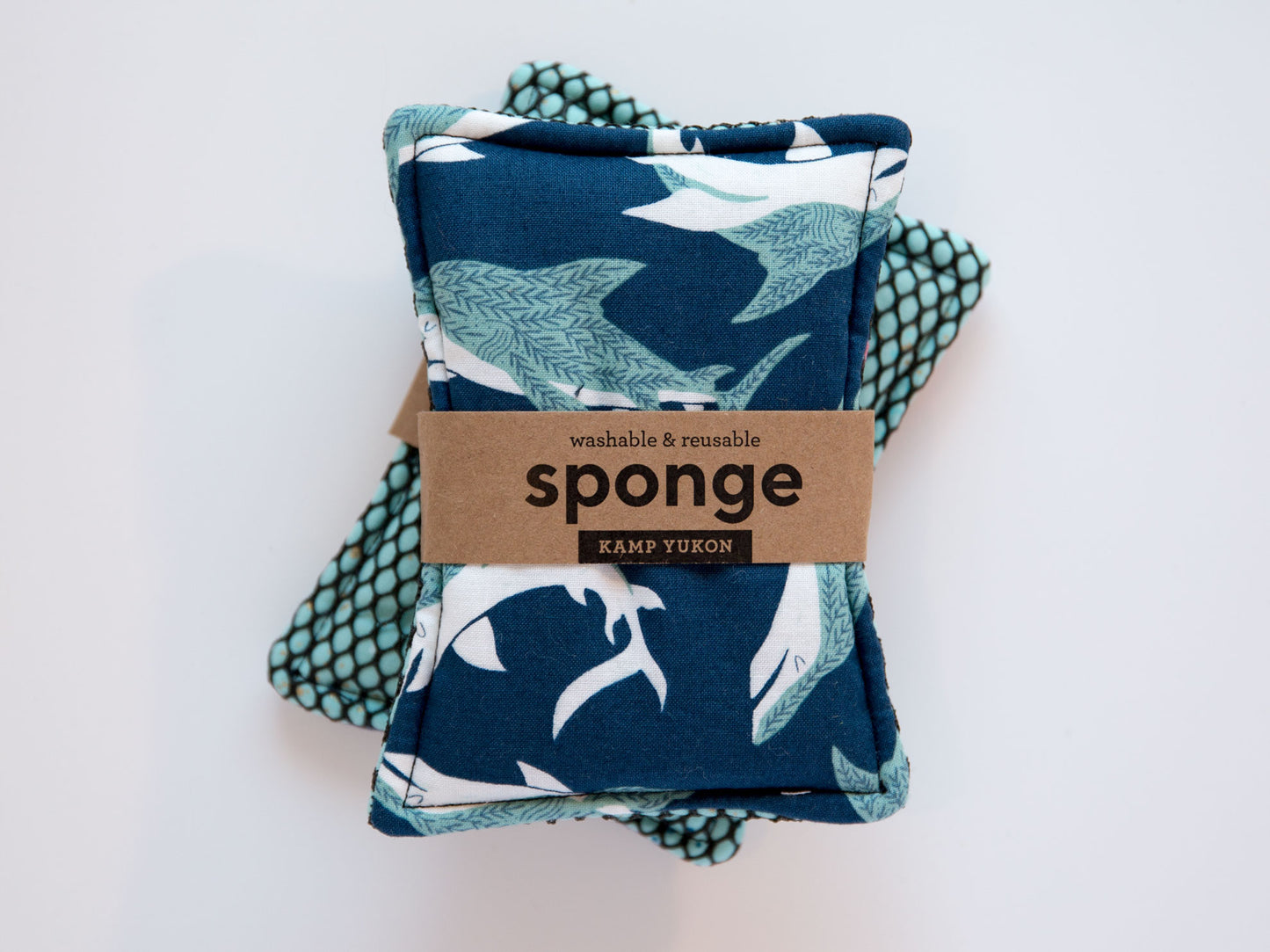 Sponge - Sharks